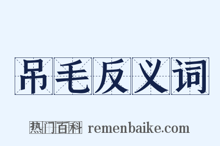 吊毛反义词是什么意思的图片